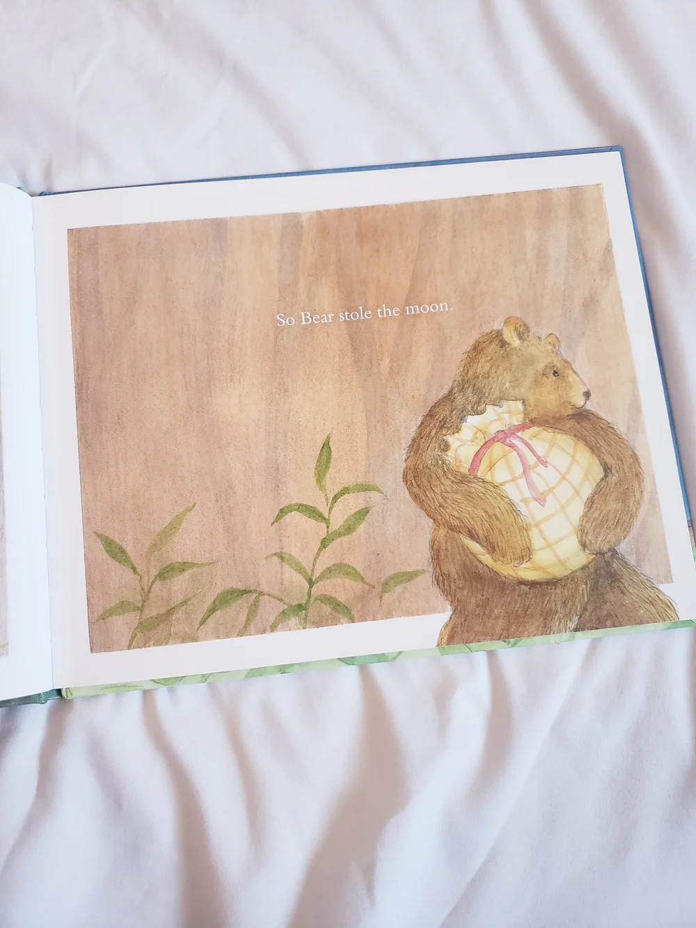 Come Back, Moon Children's Book